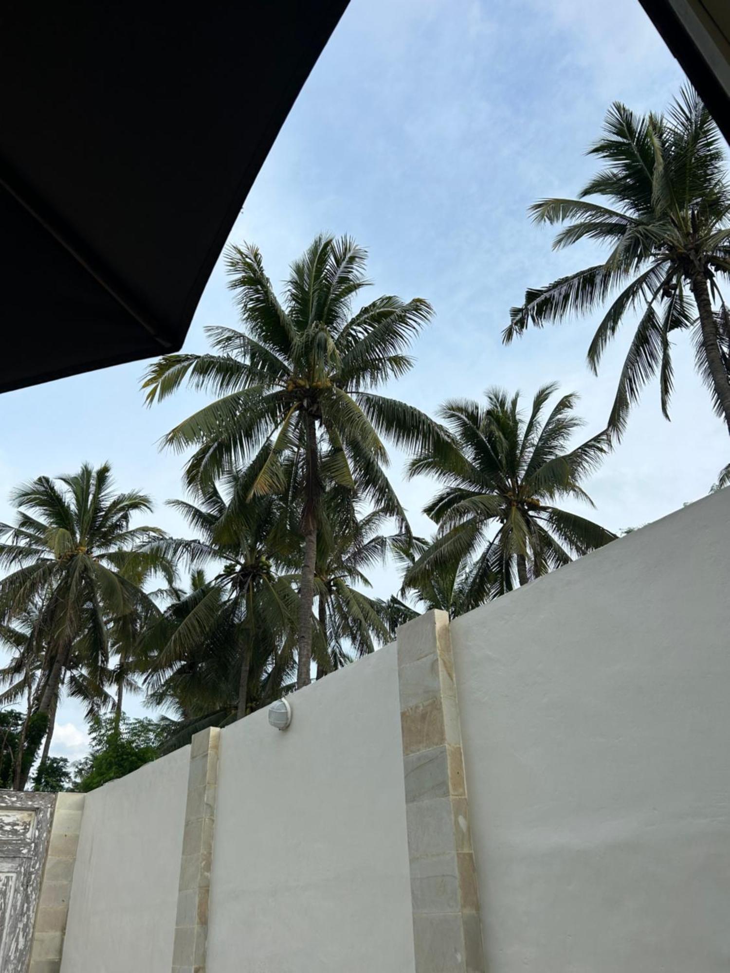 Gili Island Bungalow 길리트라왕안 외부 사진